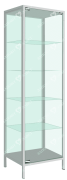 Univalve medical cabinet with safe SHМ-1
