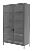 CABINET MEDICAL SHM-2 (stainless steel)